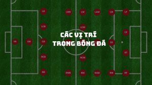 Từ a đến z về các vị trí trong bóng đá: làm chủ kiến thức chiến thuật trong 10 phút đọc