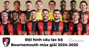Câu lạc bộ bóng đá AFC Bournemouth: Hành trình phát triển, phong cách thi đấu và thành công tại Premier League