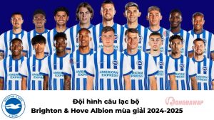 Câu lạc bộ bóng đá Brighton & Hove Albion: Câu chuyện về một câu lạc bộ bóng đá anh hùng