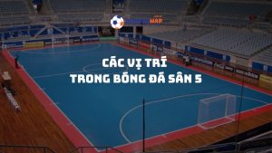 Các vị trí trong bóng đá sân 5: Cẩm nang từ A đến Z cho người chơi futsal
