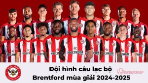 Câu lạc bộ bóng đá Brentford FC: Những điều bạn chưa biết về đội bóng ‘Những chú ong’