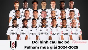 Câu lạc bộ bóng đá Fulham: Lịch sử, thành tích và tương lai