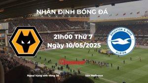 Nhận định bóng đá Wolves vs Brighton, 21h00 ngày 10/05/2025: Cuộc chiến vì danh dự và vé châu Âu